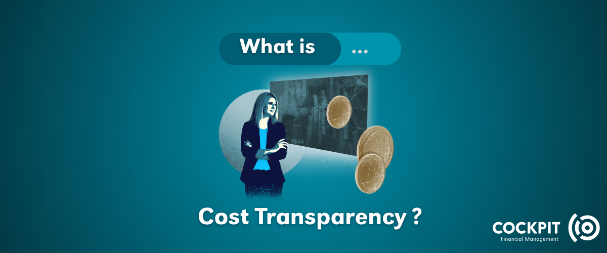 It Cost Transparency